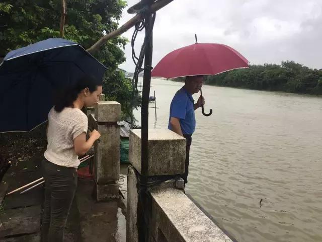 合鸽台风最新消息｜“合鸽台风最新动态”