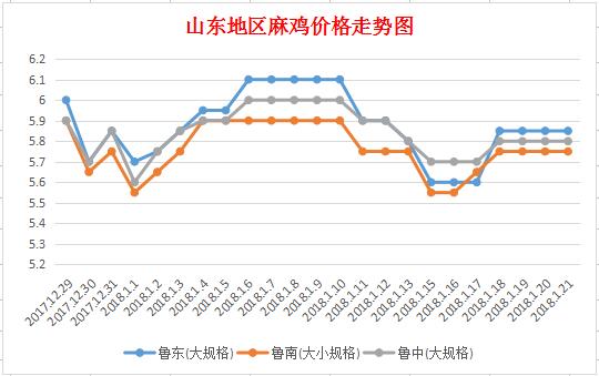 今日山东地区麻鸡市场价格行情实时播报